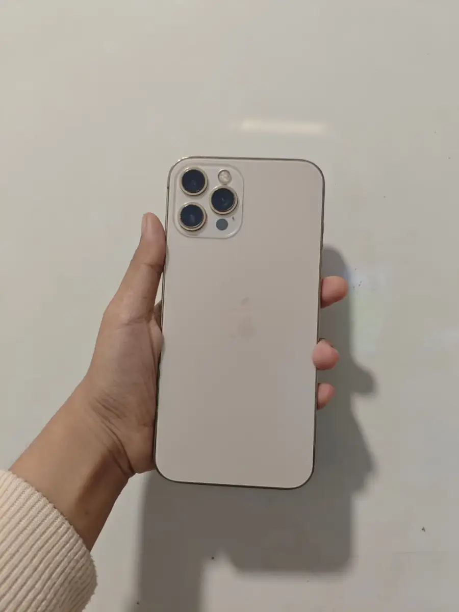 IPHONE 12 PRO MAX 256 GB INTER